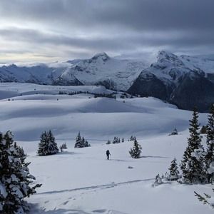 Meet your Posher, Bing